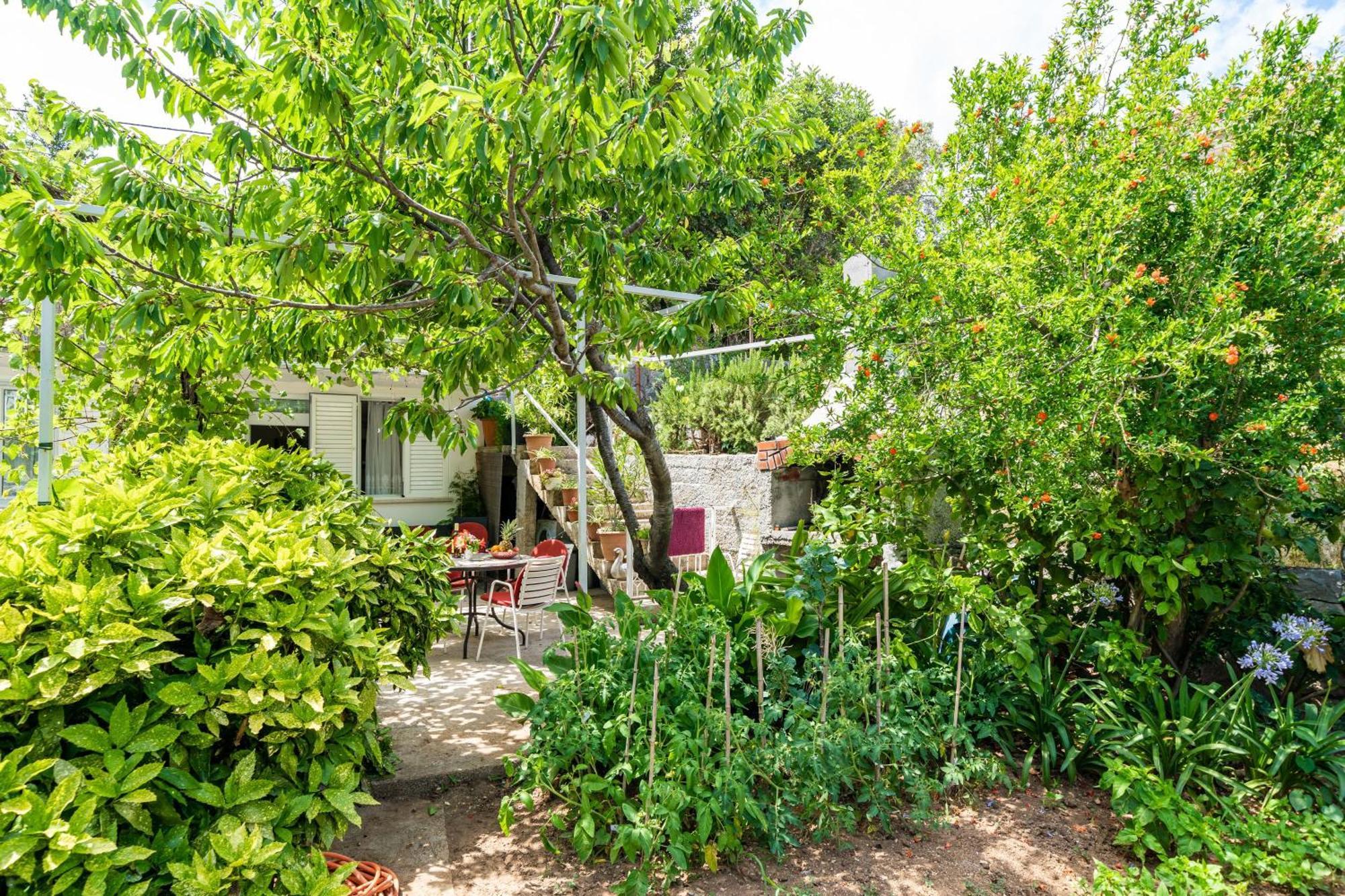 Apartments Zarac Dubrovnik Cameră foto